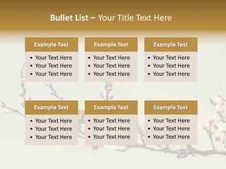 Wallpaper Orange Butterfly PowerPoint Template