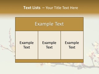 Wallpaper Orange Butterfly PowerPoint Template