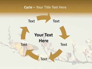 Wallpaper Orange Butterfly PowerPoint Template