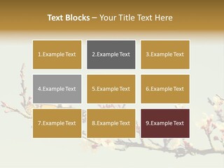 Wallpaper Orange Butterfly PowerPoint Template