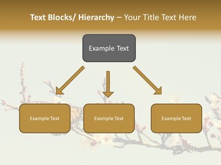 Wallpaper Orange Butterfly PowerPoint Template