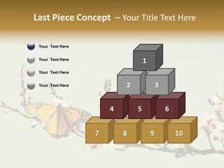 Wallpaper Orange Butterfly PowerPoint Template