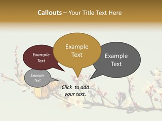 Wallpaper Orange Butterfly PowerPoint Template