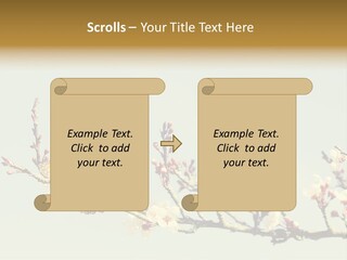 Wallpaper Orange Butterfly PowerPoint Template