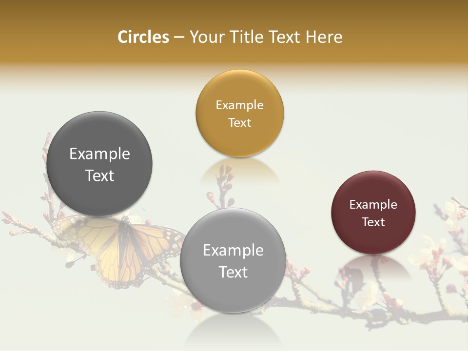 Wallpaper Orange Butterfly PowerPoint Template