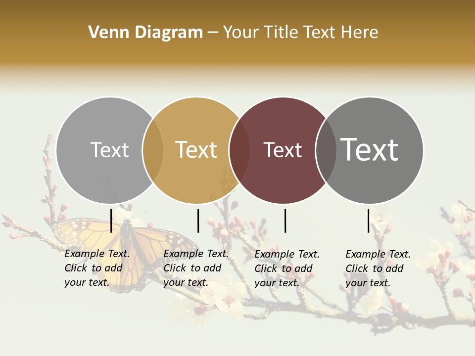 Wallpaper Orange Butterfly PowerPoint Template