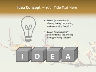 Wallpaper Orange Butterfly PowerPoint Template