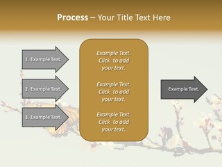 Wallpaper Orange Butterfly PowerPoint Template