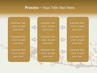 Wallpaper Orange Butterfly PowerPoint Template