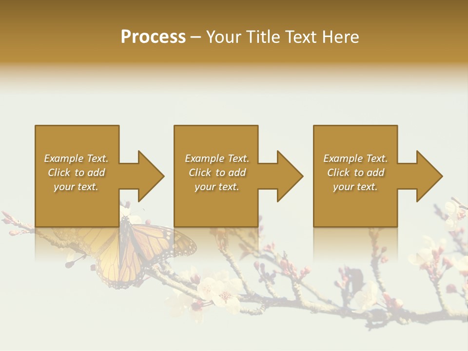 Wallpaper Orange Butterfly PowerPoint Template