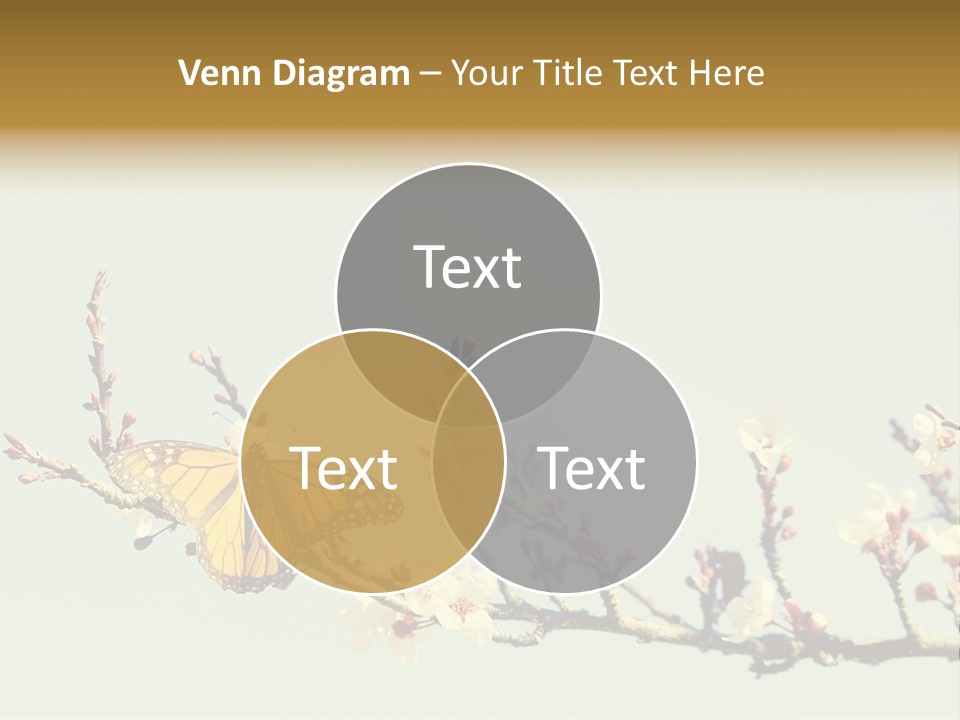 Wallpaper Orange Butterfly PowerPoint Template