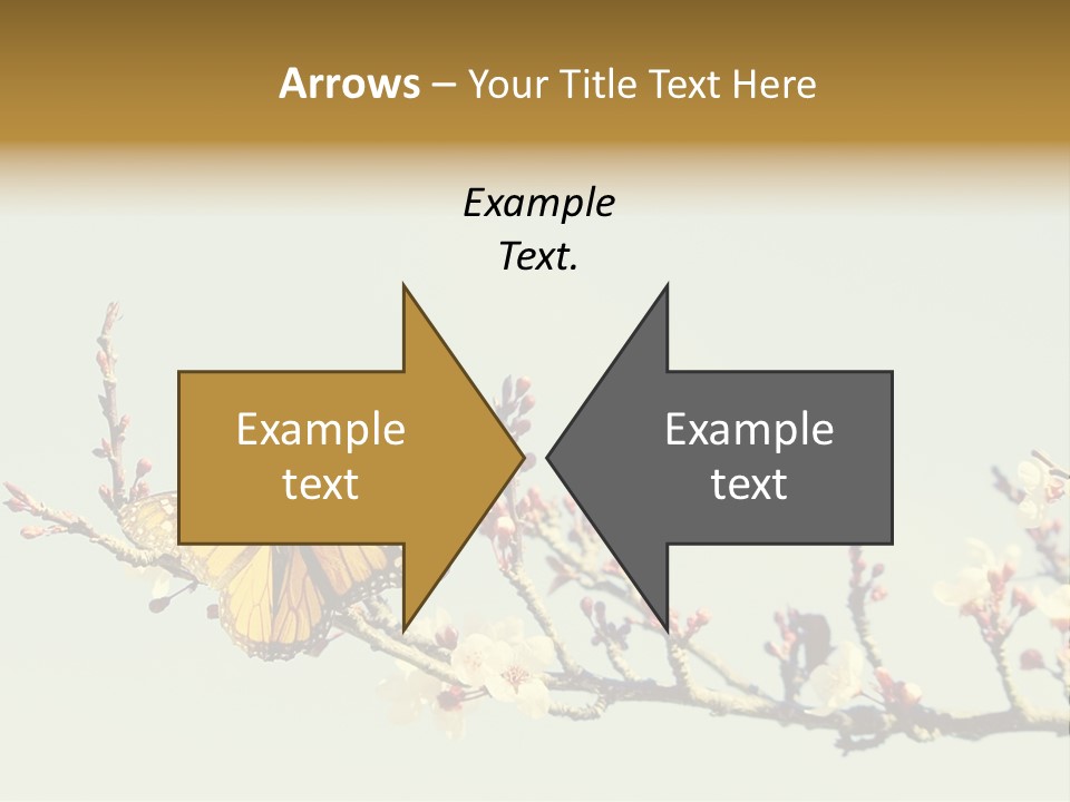 Wallpaper Orange Butterfly PowerPoint Template