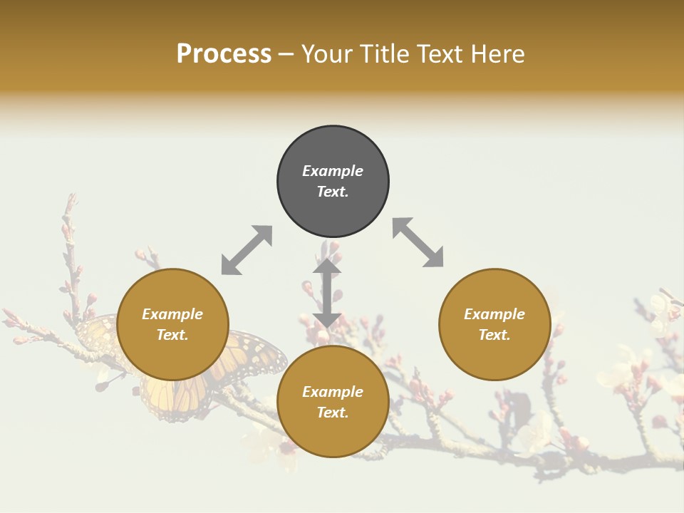 Wallpaper Orange Butterfly PowerPoint Template