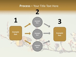 Wallpaper Orange Butterfly PowerPoint Template