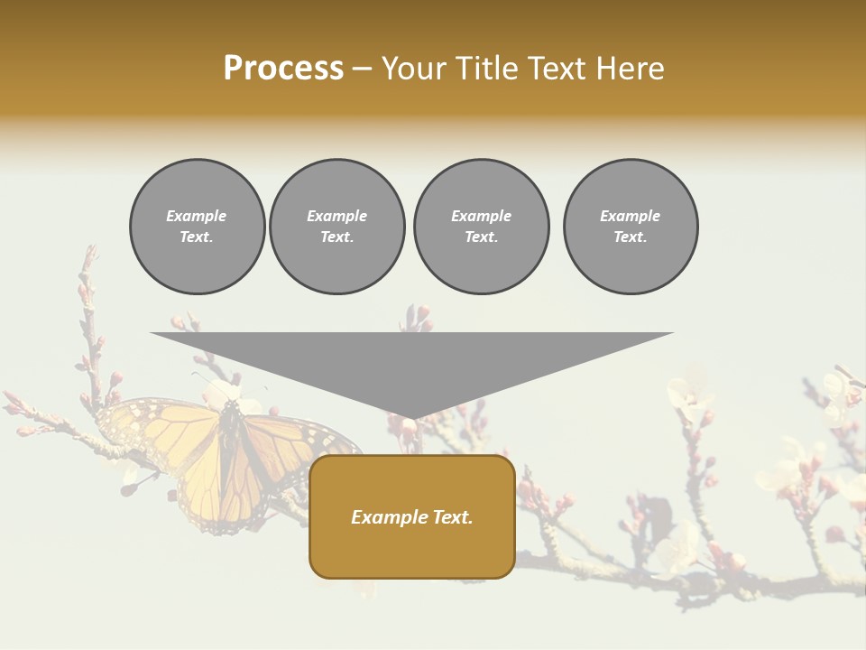 Wallpaper Orange Butterfly PowerPoint Template