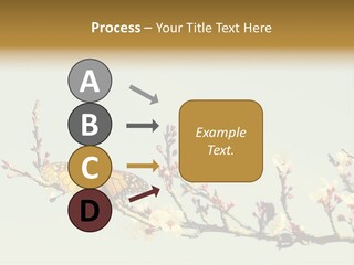 Wallpaper Orange Butterfly PowerPoint Template