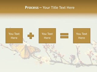 Wallpaper Orange Butterfly PowerPoint Template