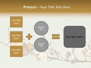 Wallpaper Orange Butterfly PowerPoint Template