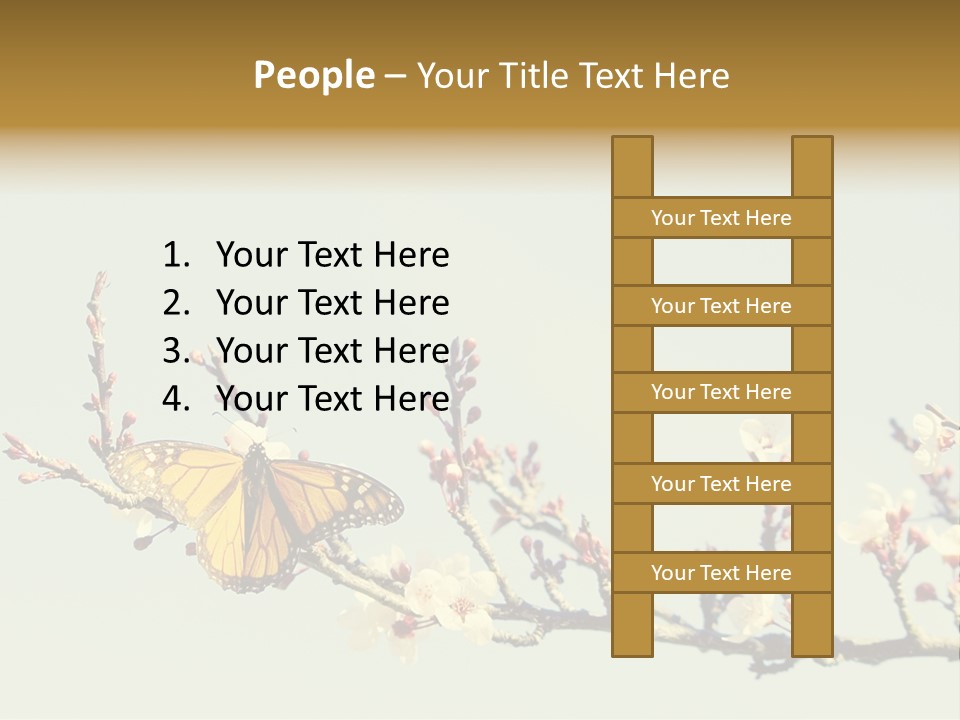 Wallpaper Orange Butterfly PowerPoint Template