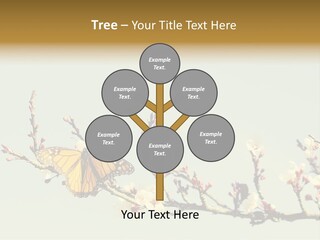 Wallpaper Orange Butterfly PowerPoint Template