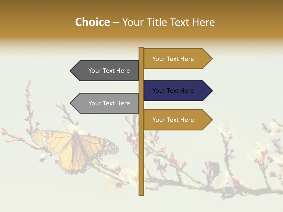 Wallpaper Orange Butterfly PowerPoint Template