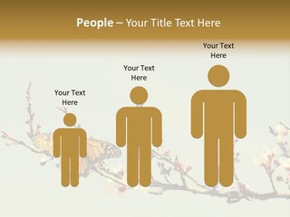 Wallpaper Orange Butterfly PowerPoint Template