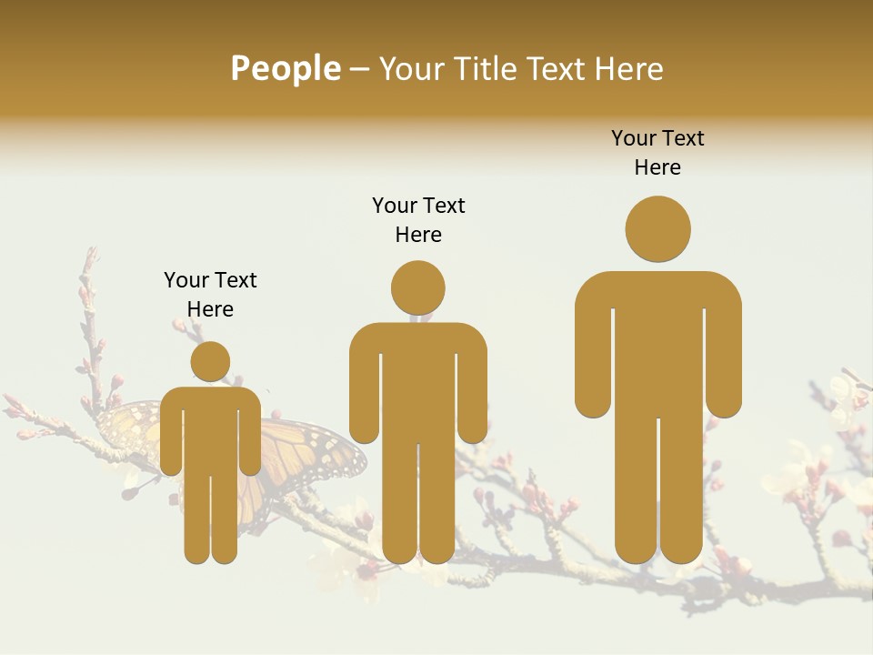 Wallpaper Orange Butterfly PowerPoint Template