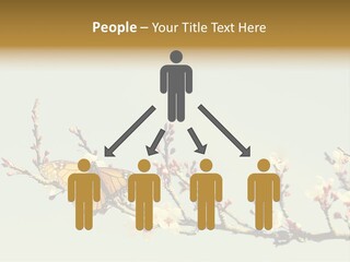 Wallpaper Orange Butterfly PowerPoint Template