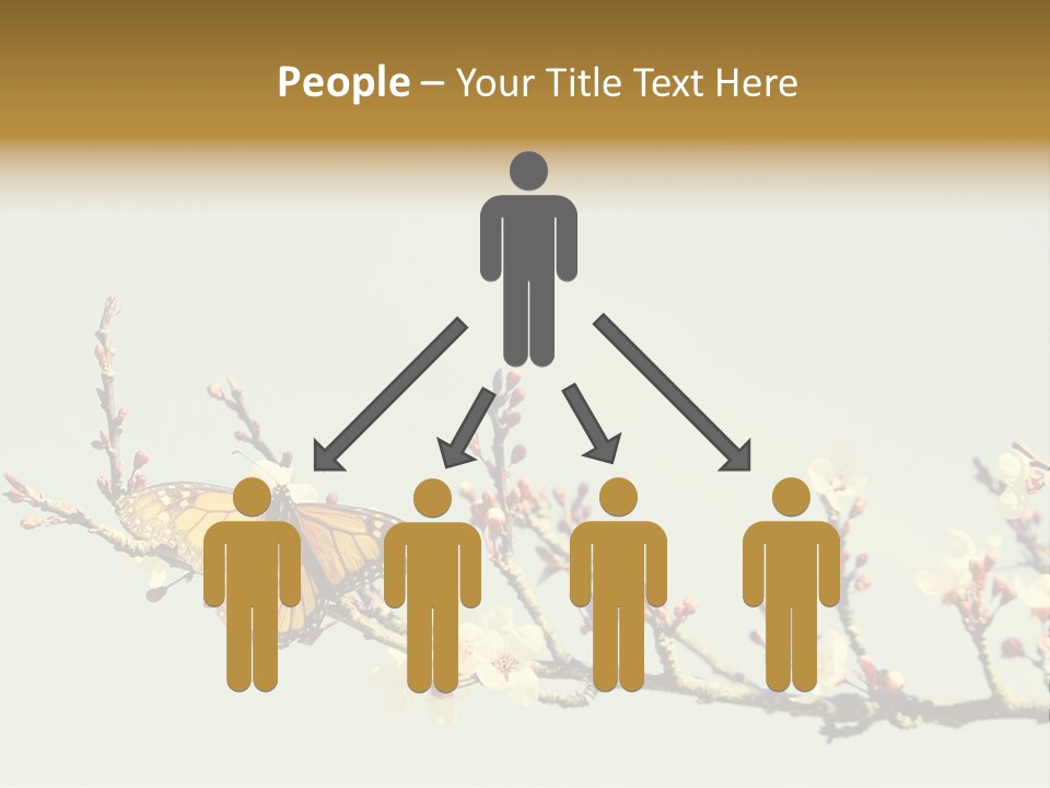 Wallpaper Orange Butterfly PowerPoint Template