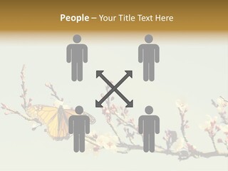 Wallpaper Orange Butterfly PowerPoint Template