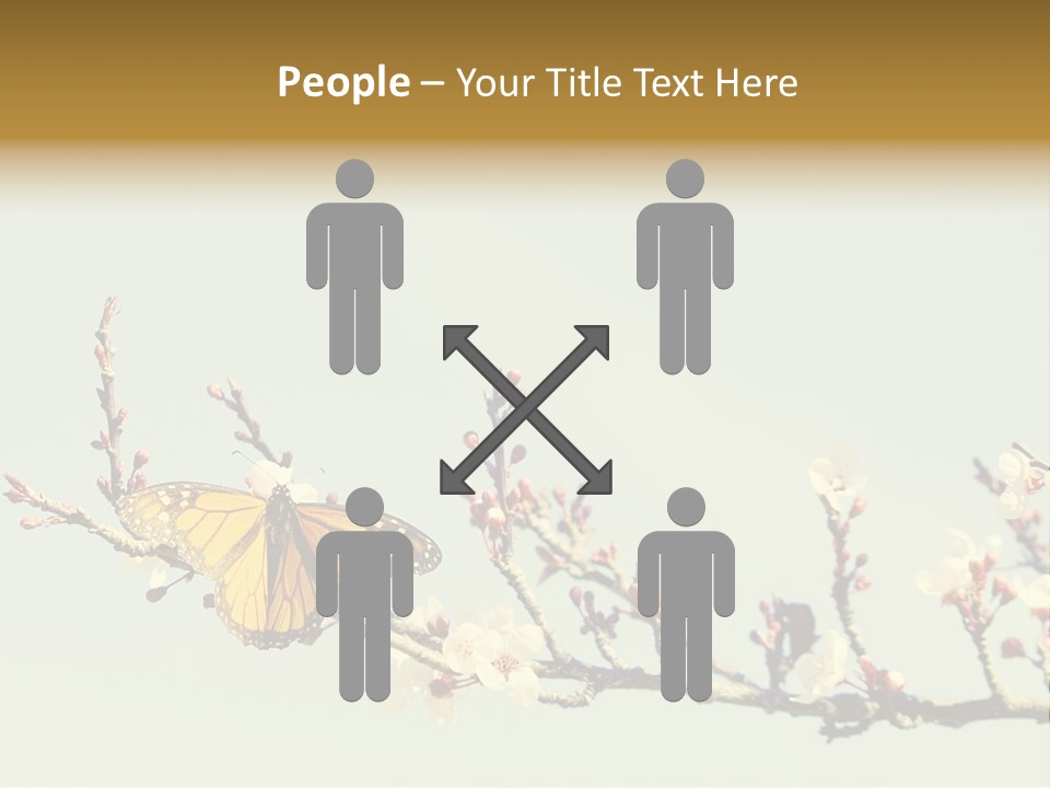 Wallpaper Orange Butterfly PowerPoint Template