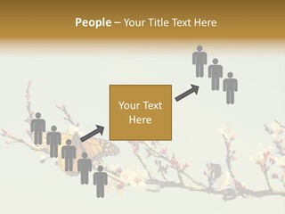 Wallpaper Orange Butterfly PowerPoint Template