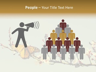 Wallpaper Orange Butterfly PowerPoint Template