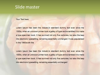 Ingredient Lunch Healthy PowerPoint Template