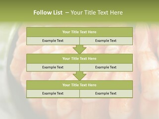 Ingredient Lunch Healthy PowerPoint Template