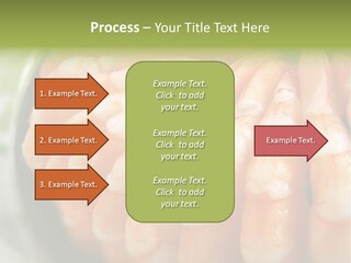 Ingredient Lunch Healthy PowerPoint Template
