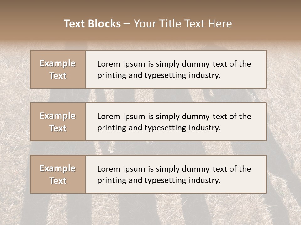 Body  Holding PowerPoint Template