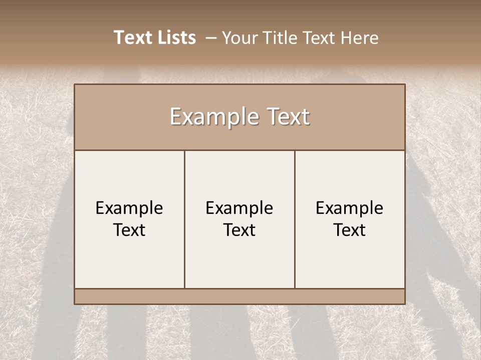 Body  Holding PowerPoint Template