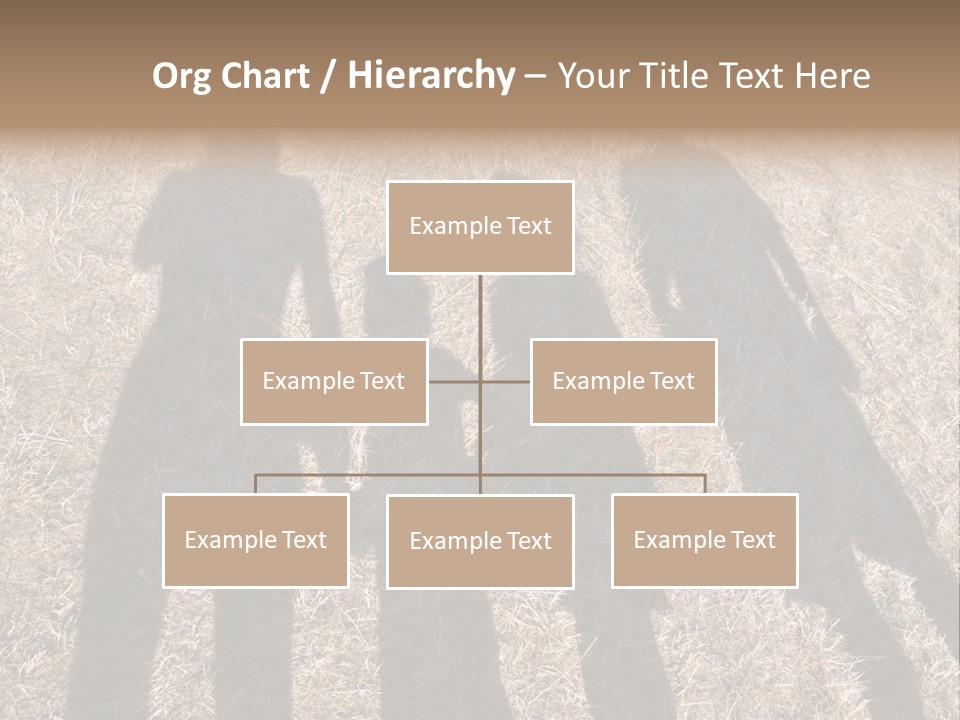 Body  Holding PowerPoint Template