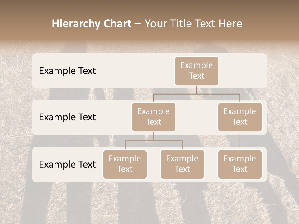 Body  Holding PowerPoint Template