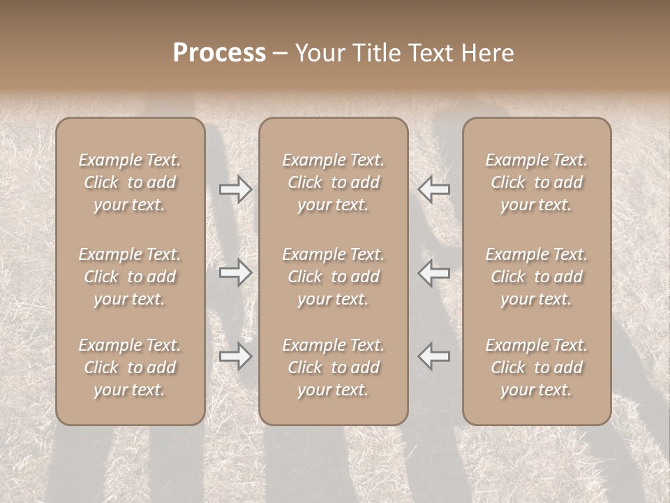 Body  Holding PowerPoint Template