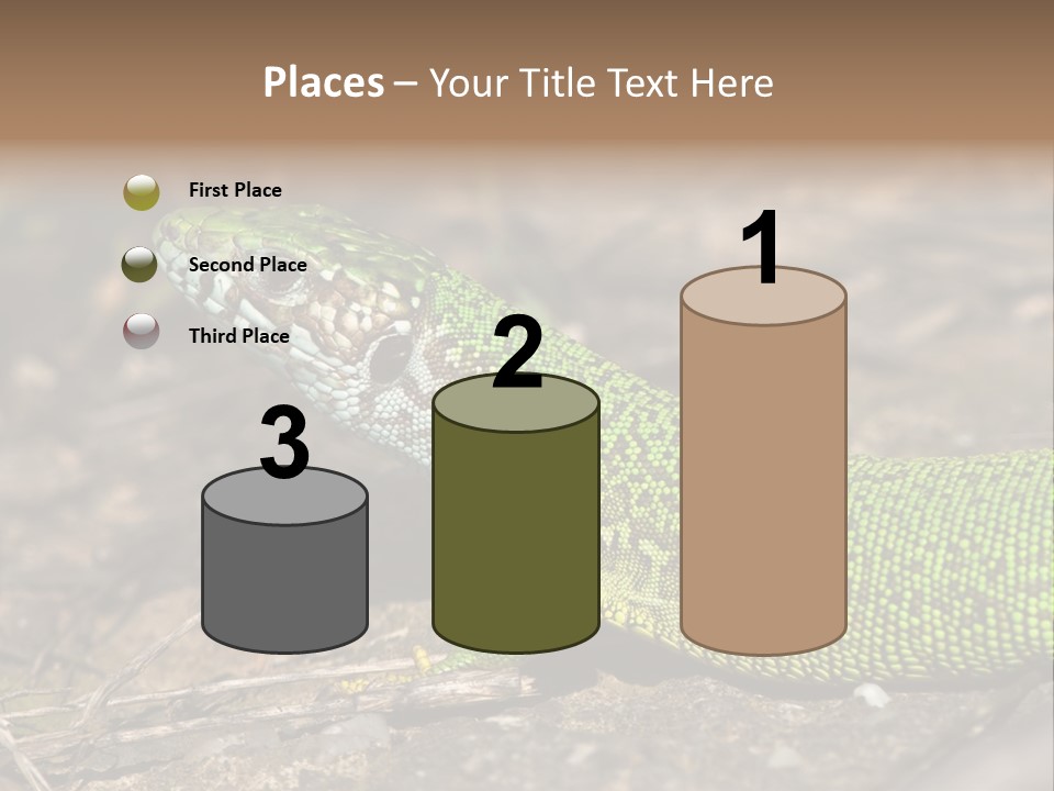 Texture Wildlife Yellow PowerPoint Template