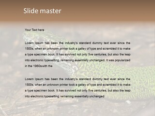 Texture Wildlife Yellow PowerPoint Template