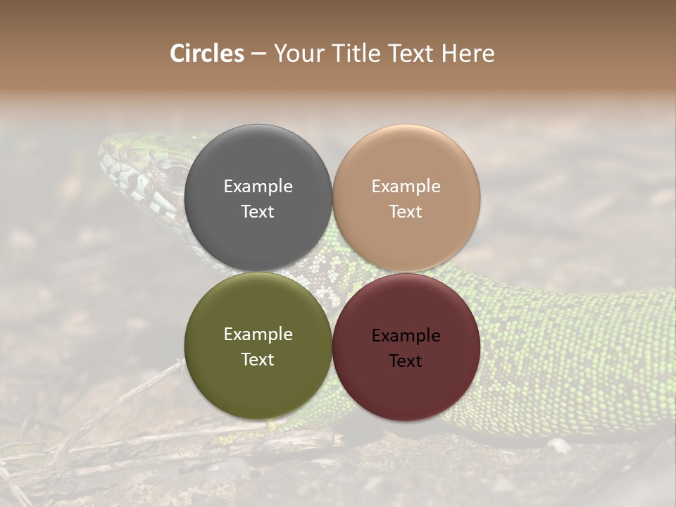 Texture Wildlife Yellow PowerPoint Template