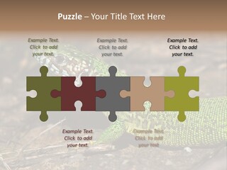 Texture Wildlife Yellow PowerPoint Template