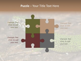 Texture Wildlife Yellow PowerPoint Template