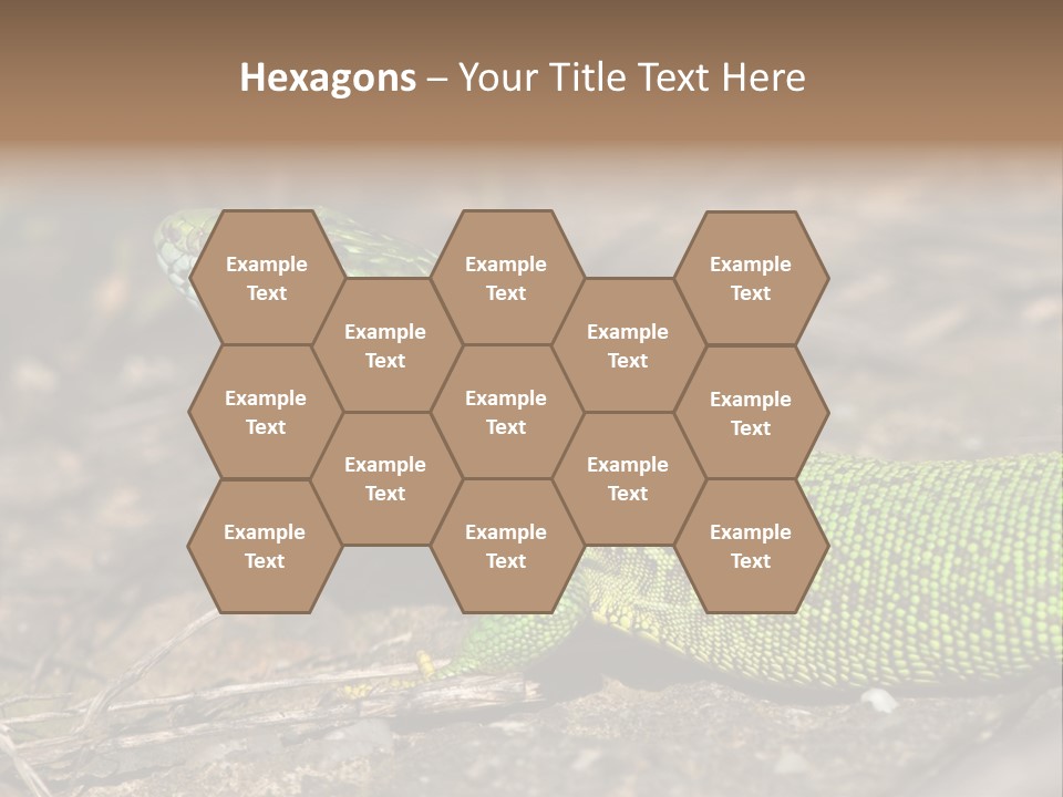 Texture Wildlife Yellow PowerPoint Template