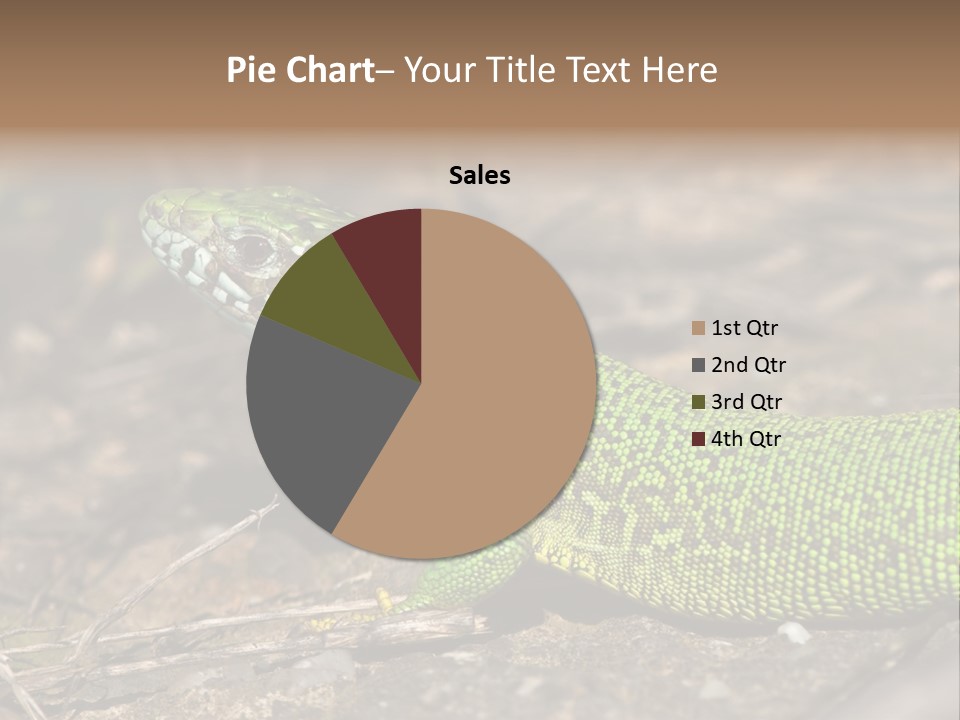 Texture Wildlife Yellow PowerPoint Template