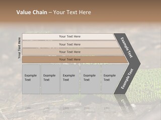 Texture Wildlife Yellow PowerPoint Template