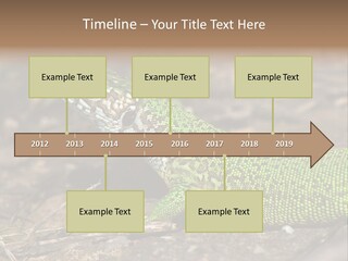 Texture Wildlife Yellow PowerPoint Template